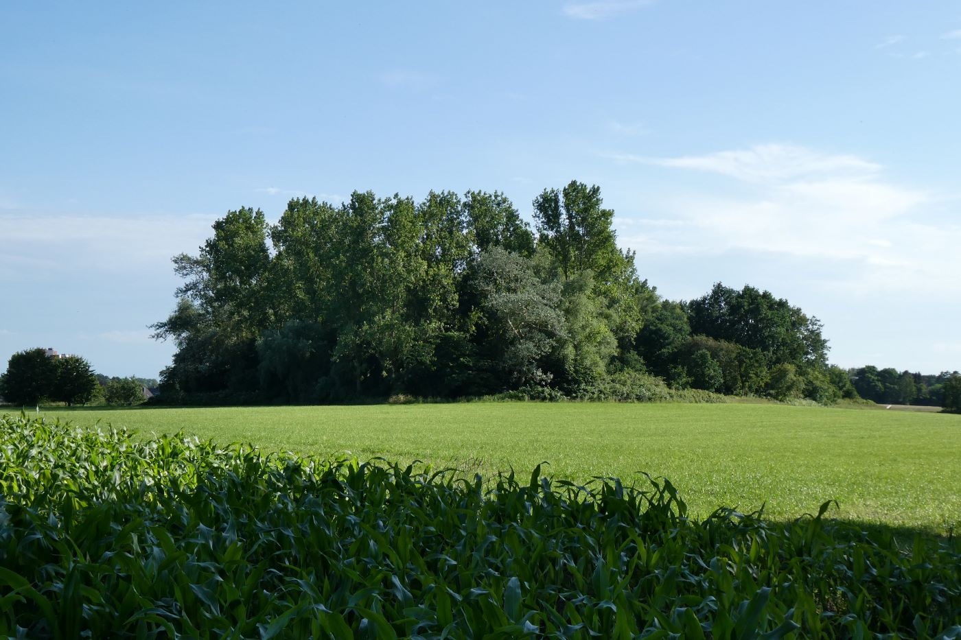 Der &quot;Lange Berg&quot; in Langen - Geestland